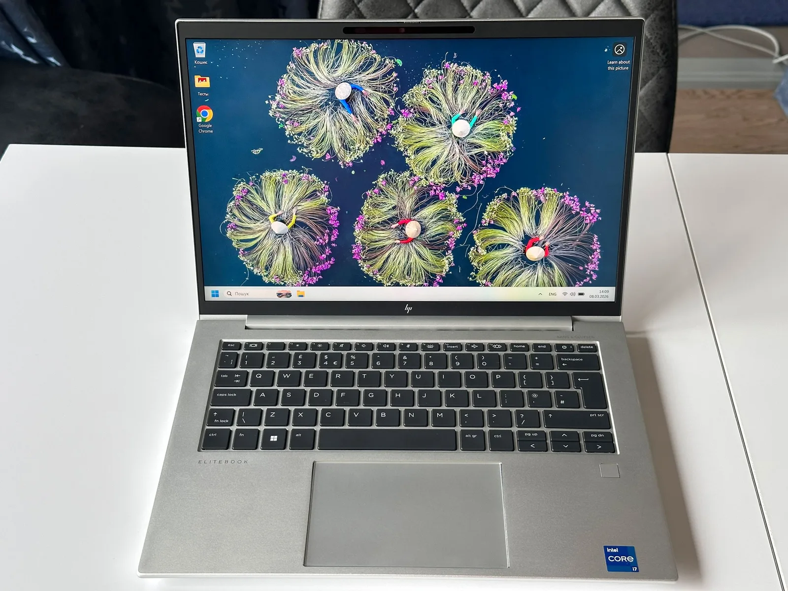 HP EliteBook 840 G10 (8A479EA)