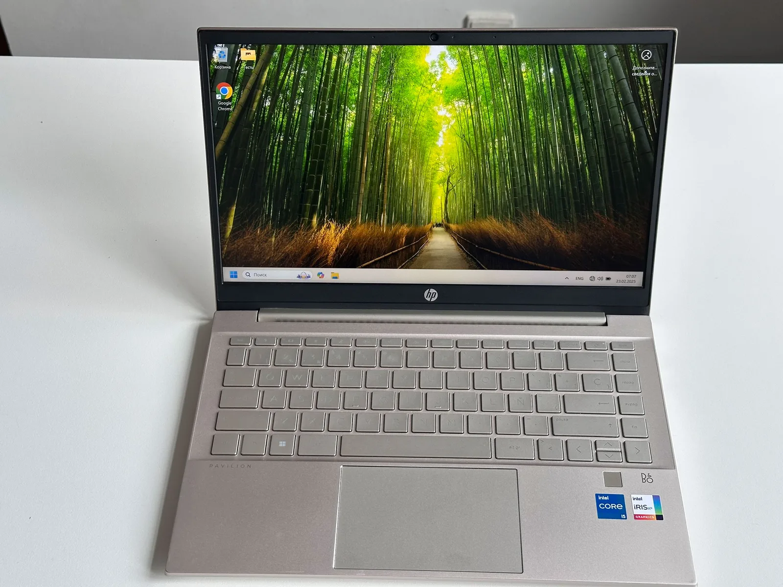 HP Pavilion 14-dv2009ns